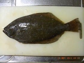 青森県産 天然ヒラメ の刺身 Sashimi Of Wild Flounder Bastard Halibut 11 14 17 06と09