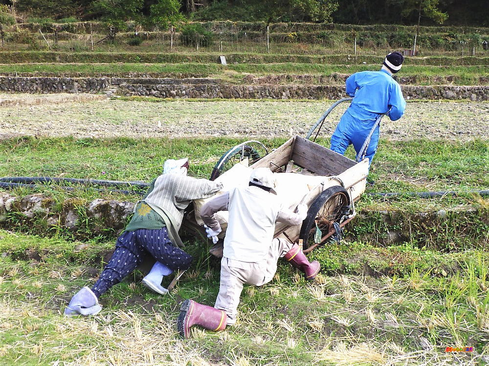 大分県 やまくにかかしワールド21 会場 好きっちゃ 温泉
