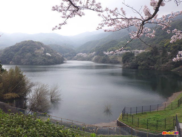 福岡県北九州市 昭和池公園 好きっちゃ 温泉 福岡県北九州市 昭和池公園 好きっちゃ 温泉