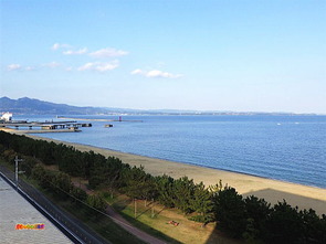 客室からの景色