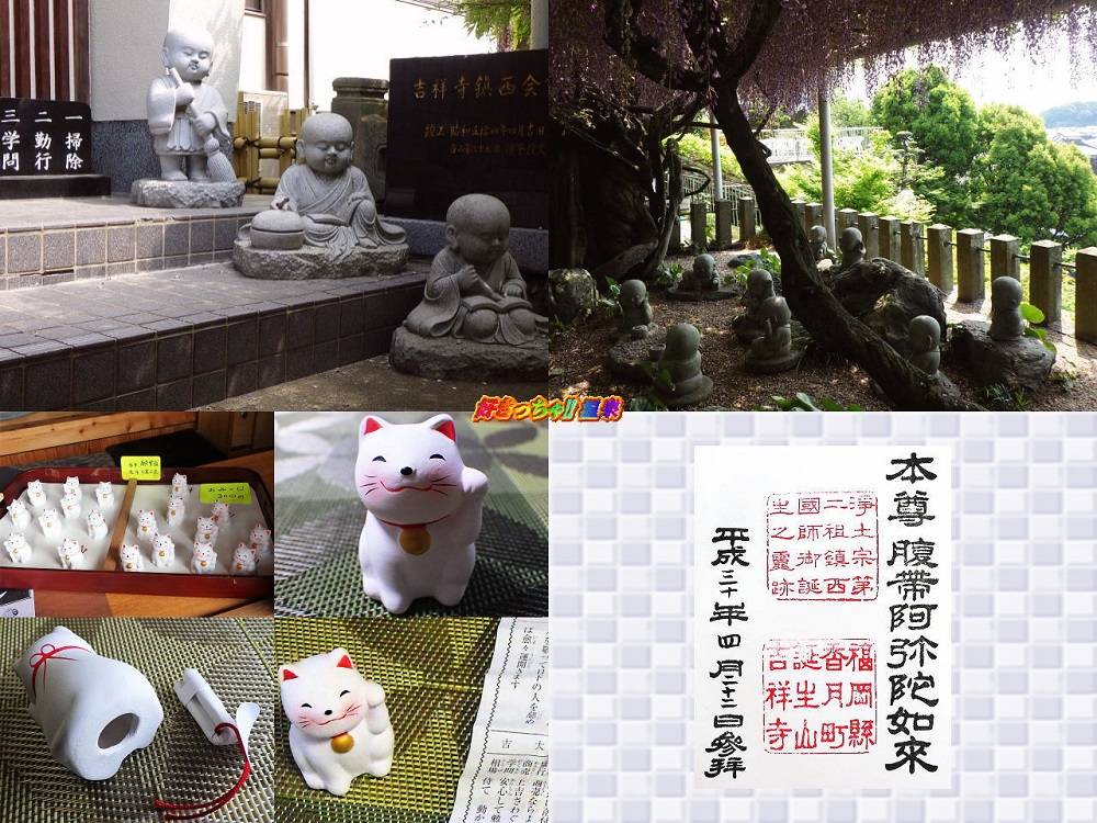 福岡県 吉祥寺 18藤まつり 好きっちゃ 温泉