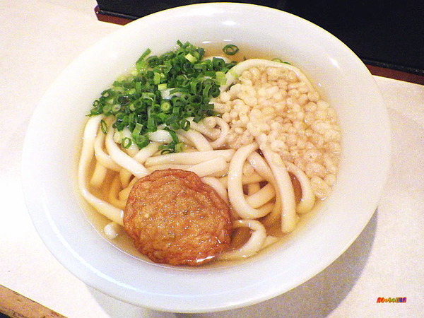 かけうどん 500円