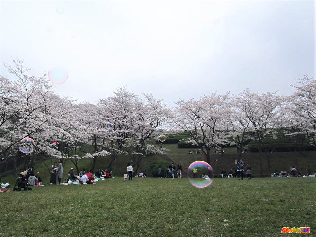 福岡県北九州市 昭和池公園 好きっちゃ 温泉