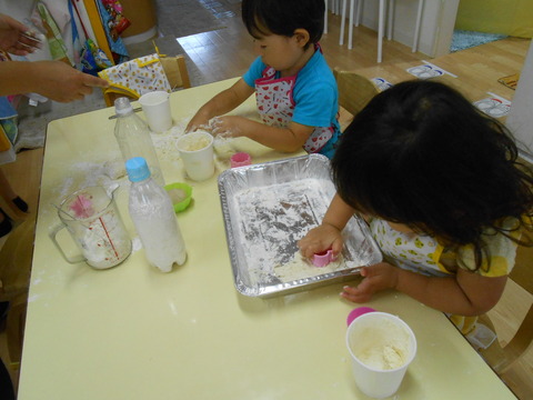 DSCN8571