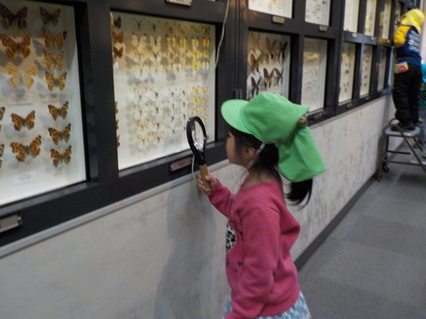 DSCN6165