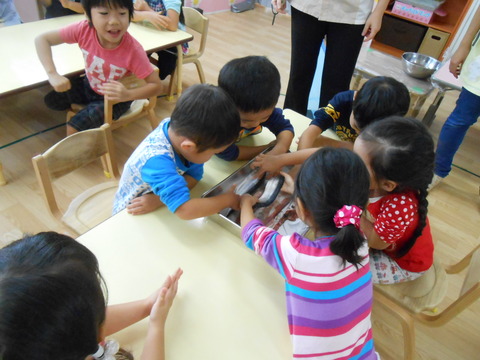 DSCN0341