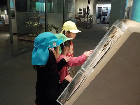DSCN6138