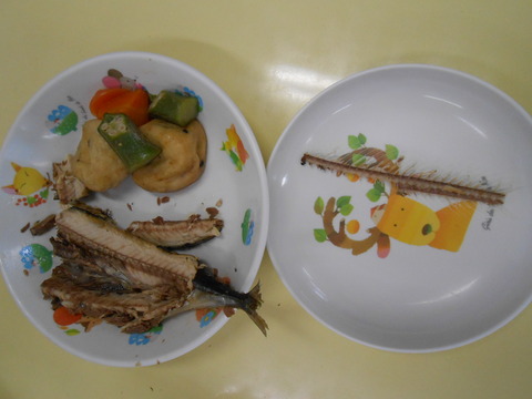 DSCN0133