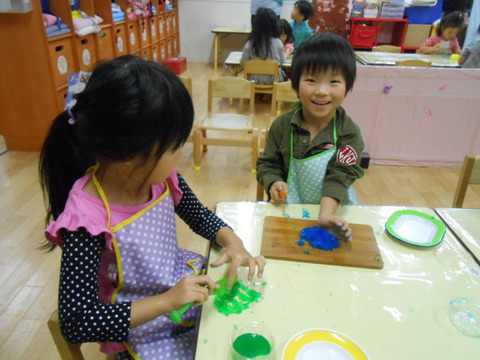 DSCN0991