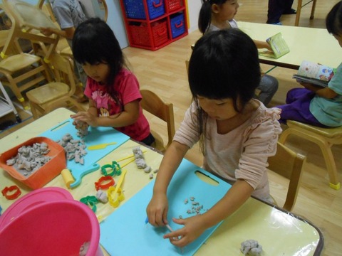 DSCN9640