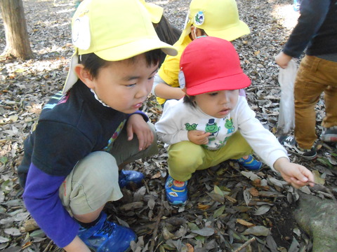 DSCN5531