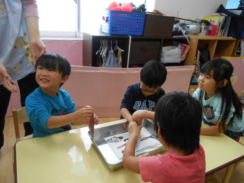 DSCN0342
