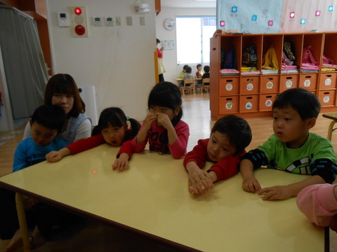 DSCN7392