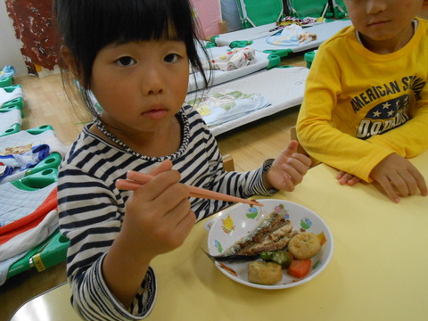 DSCN0131