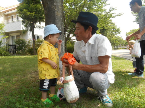 DSCN6534