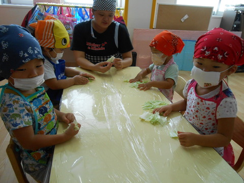 DSCN8282