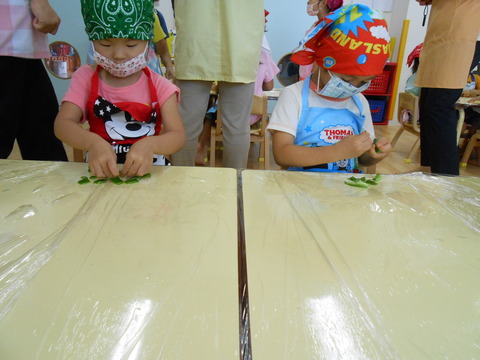 DSCN8304