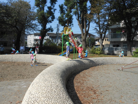 DSCN5397