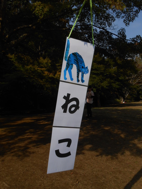 DSCN0197