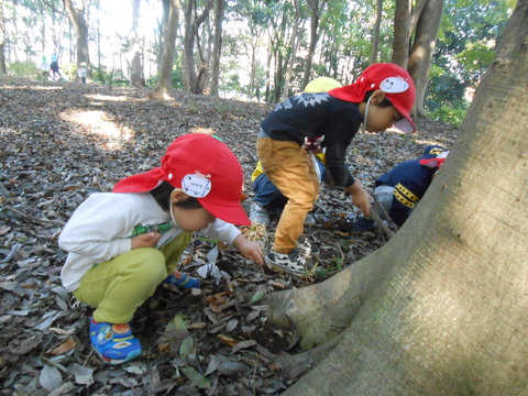 DSCN5526