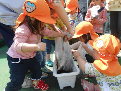 DSCN6307