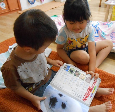 うさぎ本読み