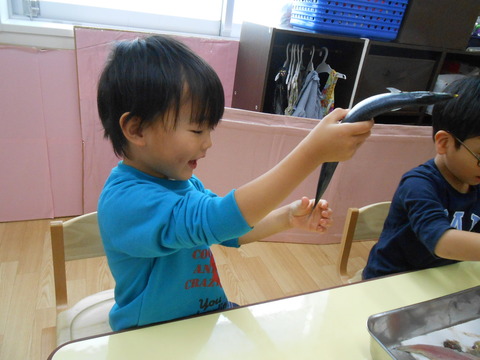 DSCN0346