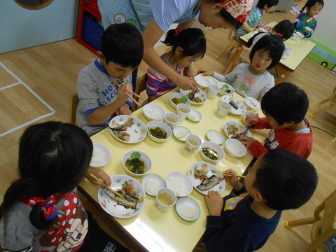 DSCN0355