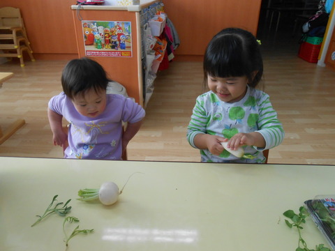 DSCN6695
