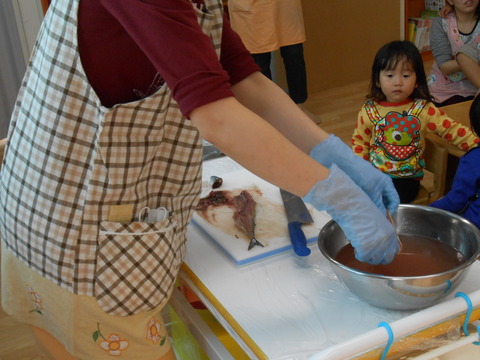DSCN0077