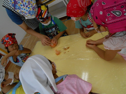 DSCN8279