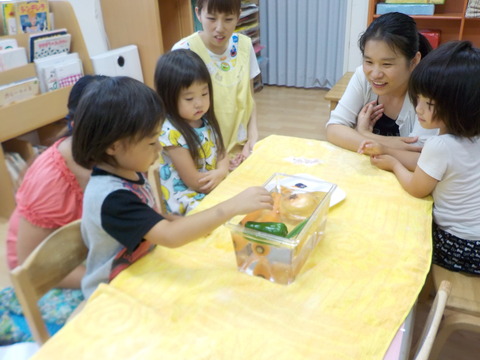 DSCN8755