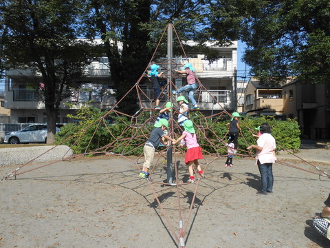 DSCN5396