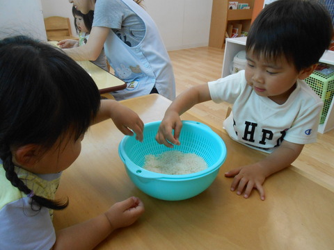 DSCN2862