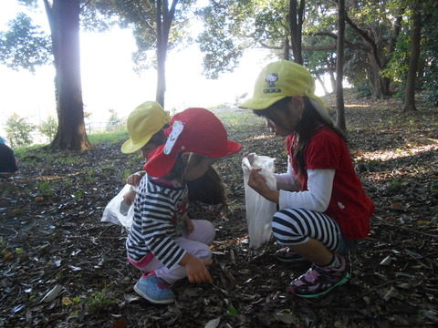 DSCN5517