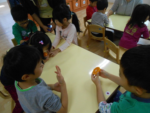DSCN0813