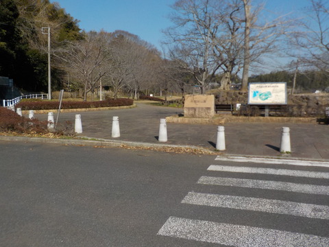 DSCN8397