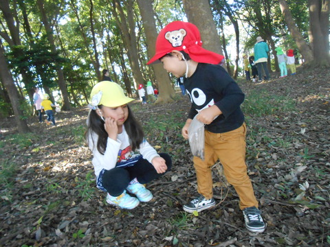 DSCN5516
