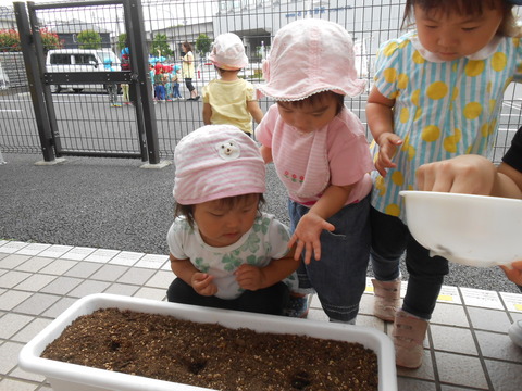 DSCN3148