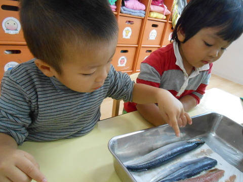DSCN0340