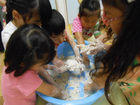 DSCN3065
