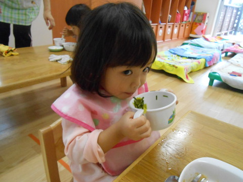 DSCN0031