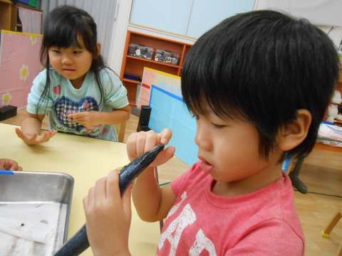 DSCN0344