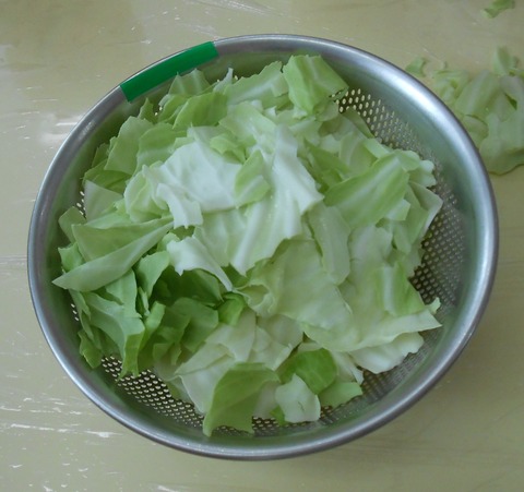 DSCN8285