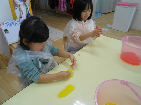DSCN6286