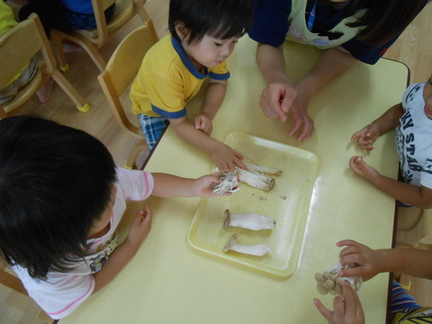 DSCN9706
