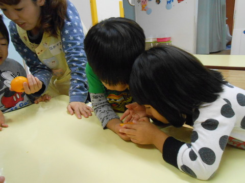 DSCN0827