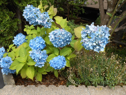 6月27日 028