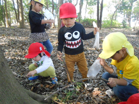 DSCN5524