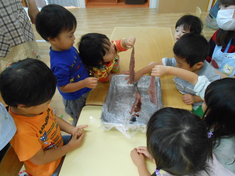 DSCN0092